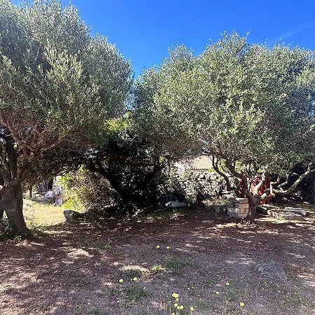 Lejlighed Homes - Casa Punty La Maddalena (Sassari)